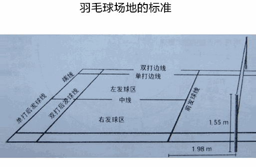 羽毛球中的标准—羽毛球拍的标准,球的标准,场地的标准(图)