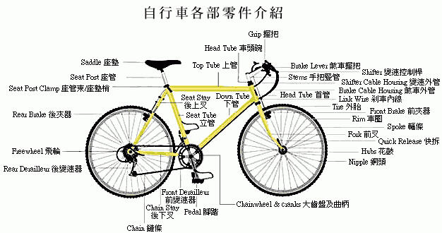 骑自行车的必备装备有哪些?
