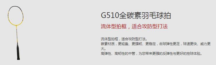 G510全碳素羽毛球拍