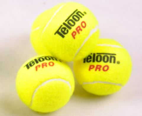 天龙teloon PRO-48 网球，特级训练网球，十个装。
