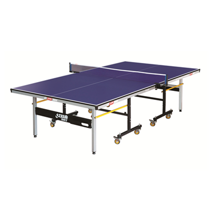 红双喜DHS T2020乒乓球桌 高级单折式乒乓球台标准（带轮）送网架