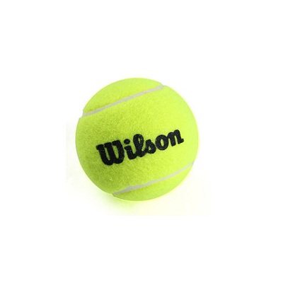 威尔胜Wilson网球 训练网球练习网球单粒装 WRT1360