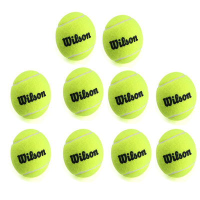 威尔胜Wilson网球 训练网球练习网球 10装 WRT1360