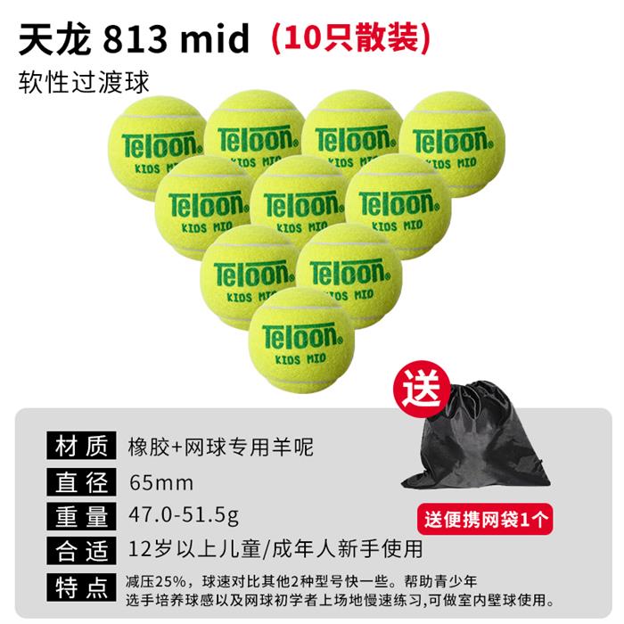 Teloon天龙网球 儿童软式过渡减压训练初学者练习网球 天龙831MID绿球 10粒
