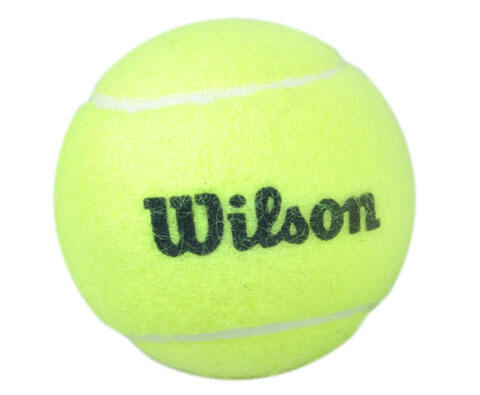 WILSON 網(wǎng)球 60 Trainer ball in poly bag （一袋）